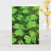 グリーンシャムロックセントパトリックの日グリーティングカード カード (黄色い花)