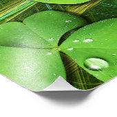 グリーンシャムロックセントパトリックのiPhone 5ケースメイト フォトプリント (角)