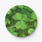 グリーンシャムロックセントパトリックのiPhone 5ケースメイト ペーパープレート (正面)