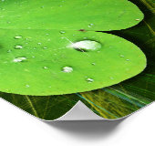 グリーンシャムロックセントパトリックのiPhone 5ケースメイト ポスター (角)