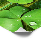 グリーンシャムロックセントパトリックのiPhone 5ケースメイト ポスター (コーナー)