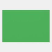 グリーンシャームロック&デイジーズany大事な行事 ラッピングペーパーシート (正面2)