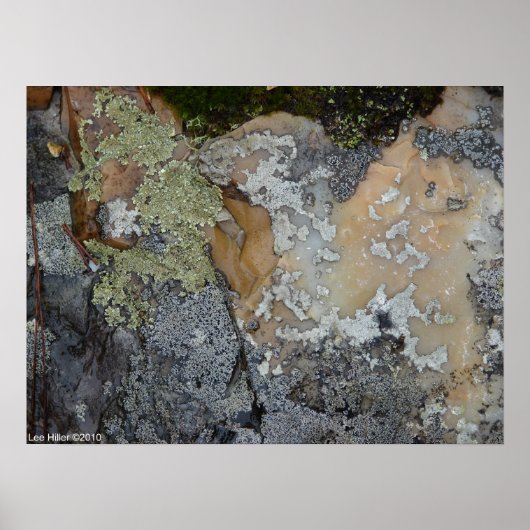 グリーンシルバーリチ色彩の鮮やかェンロックポスター ポスター (正面)