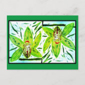 グリーンシンビジウムオーキズポストカード ポストカード (正面)