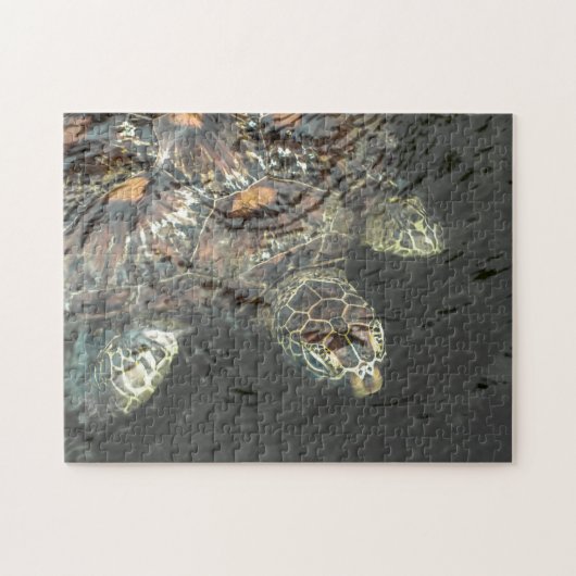 グリーンシーカメパズル ジグソーパズル (横)