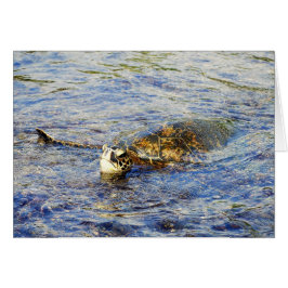 グリーンシーカメ、ハワイ、カード