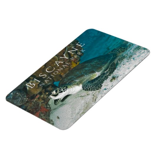 グリーンシータートルアンダーウォータービスケインNP マグネット (左側)