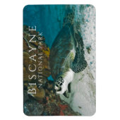 グリーンシータートルアンダーウォータービスケインNP マグネット (縦)