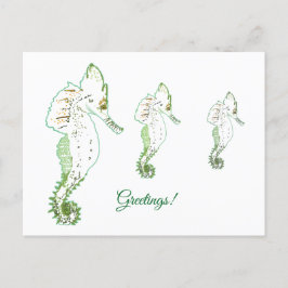 グリーンシーホース挨拶はがき シーズンポストカード