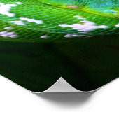 グリーンスネークポスター ポスター (角)