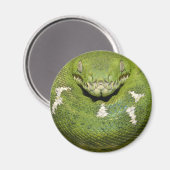 グリーンスネーク製品 マグネット (正面/裏面)