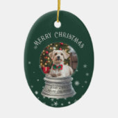 グリーンスノーグローブスノーフレーク写真 セラミックオーナメント (正面)