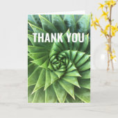 グリーンスパイラルアロエポリパイラ カード (黄色い花)