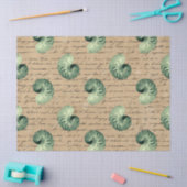 グリーンスパイラルシーシェルズオンタンデコパージュ 薄葉紙 (クラフト)