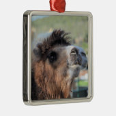 グリーンスムージーザラクメルオーナメント メタルオーナメント (右)