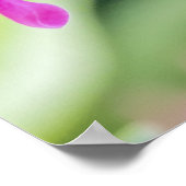 グリーンスロアカリハミングバードポスター ポスター (角)