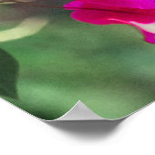 グリーンスロートカリブハミングバードオンブーゲンビリア ポスター (角)