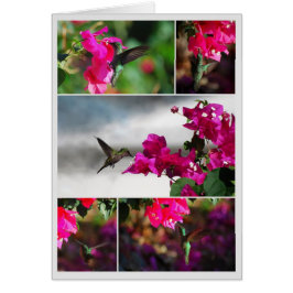 グリーンスロートカリブハミングバードコラージュ