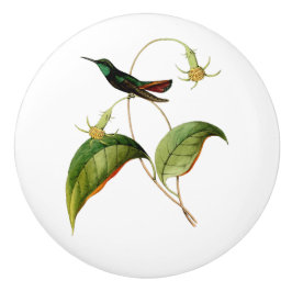 グリーンスロートマンゴハミングバード セラミックノブ