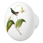 グリーンスロートマンゴハミングバード セラミックノブ (右)