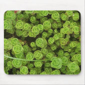 グリーンセドゥムガーデンプラント マウスパッド (正面)
