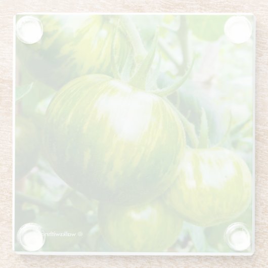 グリーンゼブラヘイルームトマトつる植物 ガラスコースター (裏面)