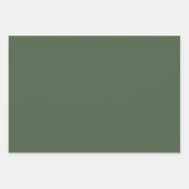 グリーンタイガージャングルサファリラッピング紙セット ラッピングペーパーシート (正面3)