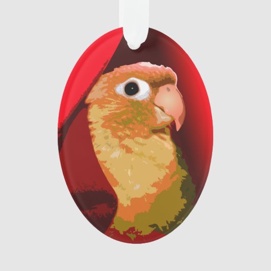 グリーンチークコニュールとハグ ペット 鳥 愛 オーナメント (正面)