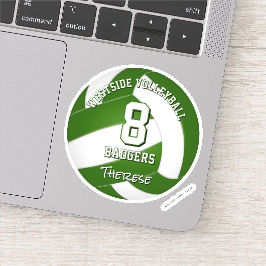 グリーンチームカラーバレーボール選手 シール (詳細)