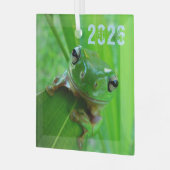 グリーンツリーカエルオーナメント ガラスオーナメント (正面左)