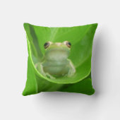 グリーンツリーカエル枕 クッション (裏面)
