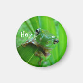 グリーンツリーカエル磁石 マグネット (正面)