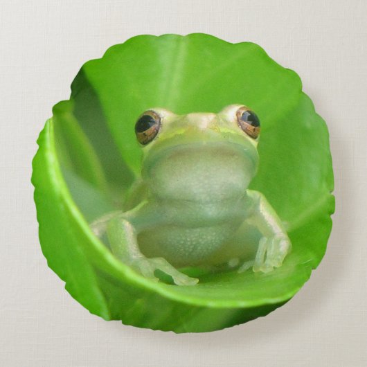 グリーンツリーカエル装飾用クッション ラウンドクッション (正面)