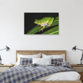 グリーンツリーカエル（ヒラシネレア） 2 キャンバスプリント (インサイチュ (寝室))