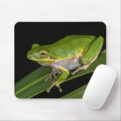 グリーンツリーカエル（ヒラシネレア） 2 マウスパッド (マウス)
