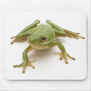 グリーンツリーカエル マウスパッド
