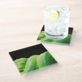 グリーンツリーパイオニア ガラスコースター (アングル)