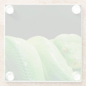 グリーンツリーパイオニア ガラスコースター (裏面)