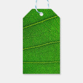 グリーンツリーリーフ ギフトタグ (裏面)