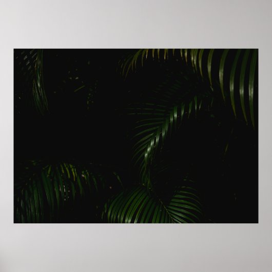 グリーンツリー ポスター (正面)