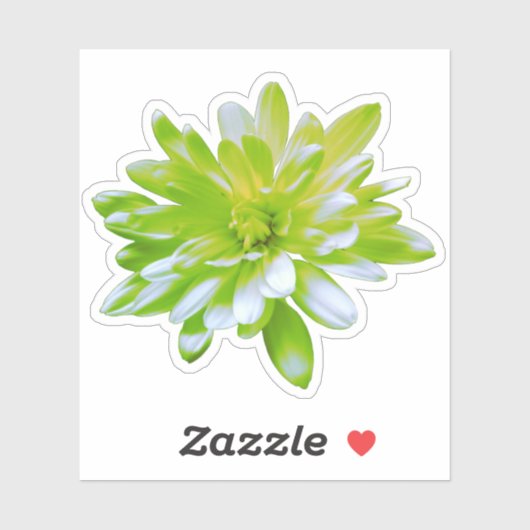 グリーンティール（緑がかった色）イエローフローラフラワーレトロデイジー シール (シート)