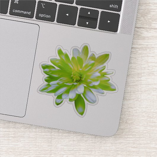 グリーンティール（緑がかった色）イエローフローラフラワーレトロデイジー シール (詳細)