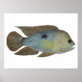 グリーンテロ ポスター (正面)