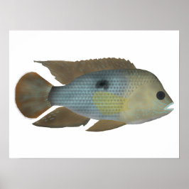 グリーンテロ ポスター