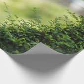 グリーントピアリーハート ラッピングペーパー (角)