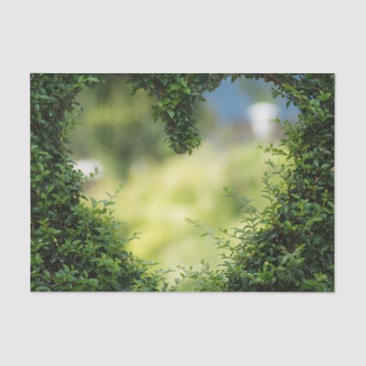 グリーントピアリーハート 薄葉紙 (正面)