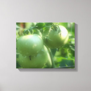 グリーントマトのつる植物 キャンバスプリント