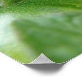 グリーントマトプリント ポスター (角)