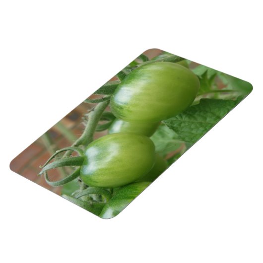 グリーントマトプレミアムマグネット マグネット (左側)