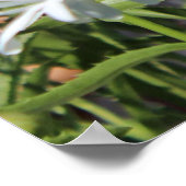 グリーントラクターと花のポスター ポスター (角)